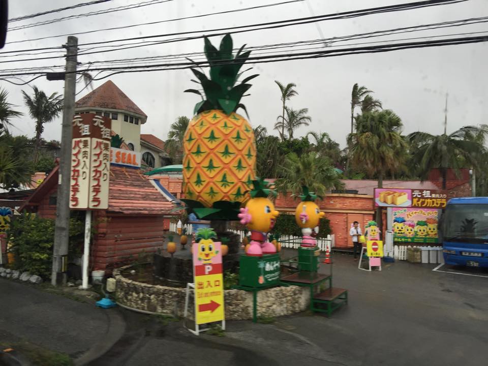 114-pineapple_park_at_epic_tour_of_okinawa.jpg