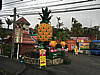 114-pineapple_park_at_epic_tour_of_okinawa.jpg
