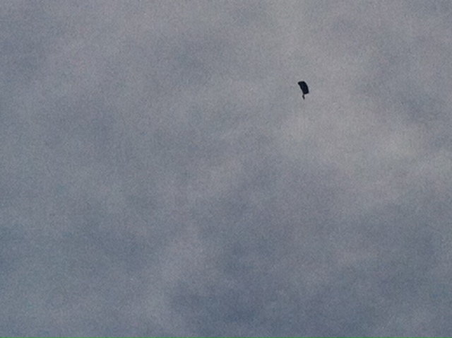 40-parachutist_at_guam_independence_day_celebration.jpg