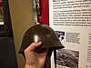039-type_90_jap_helmet_-_war_in_the_pacific_museum.jpg